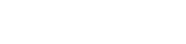 Noesa POS